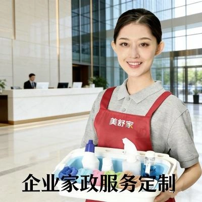 企业定制服务